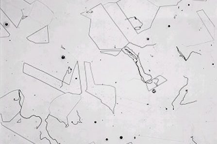 Microgrpahs of moist anneal