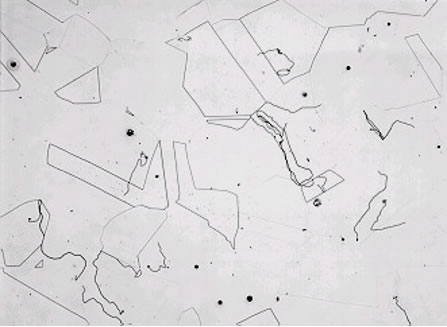Microgrpahs of moist anneal